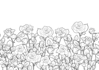 Seamless pattern with roses flowers. Outline vector illustration. In black and white, isolated on white background.