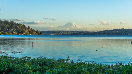 Lake And Mountain From Park 7