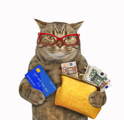 A beige cat holds a credit card and an orange leather wallet with euro banknotes. White background. Isolated.