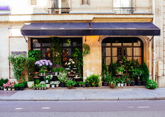 Wall Mural - cozy street with flower shop in paris, france