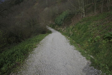 Sticker - Path in the countryside