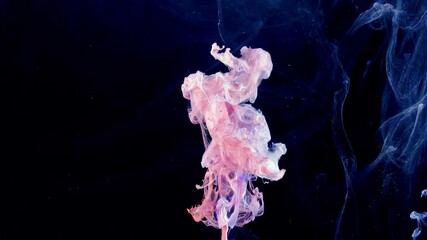 Wall Mural - Motion Color drop in water,Ink swirling in ,Colorful ink abstraction.