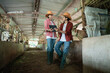 © Odua Images - the cow farmer couple looks at each other while using the tablet together against the background of the cow shed