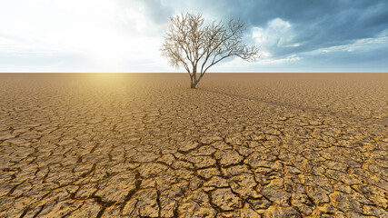 Concept or conceptual desert landscape with a parched tree as a metaphor for global warming and climate change. A warning for the need to protect our environment and future 3d illustration