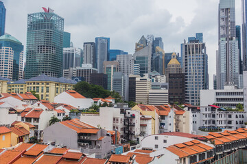 Wall Mural - View of the skyline of Singapore