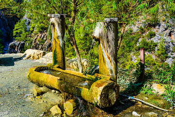 Wall Mural - Spring with fresh water in a Goynuk canyon. Antalya province, Turkey