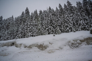 Sticker - 2021-02-14 SNOW COVERED EVERGREENS ON SNOQUALMIE PASS