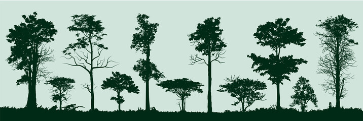 trees silhouettes