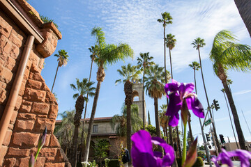 Wall Mural - Daytime view of the historic skyline of downtown Riverside, California, USA.