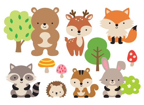 Fototapete - Vector illustration of cute woodland forest animals including a bear, deer, fox, raccoon, hedgehog, squirrel, and rabbit.
