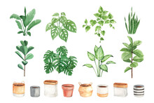 DIY Watercolor Indoor Plant And Pots Perfect For Card, Sticker, Wall Decor And Other Print Design
