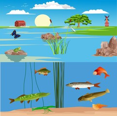 Wall Mural - Natural wild landscape, river and lakes with fishes and other habitants, vector landscape