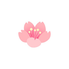 Sticker - Cherry blossom flower isolated on white background.