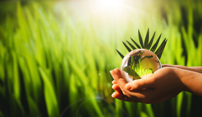 Poster - Hands holding glass green planet. Save Earth. Concept of the Environment World Earth Day	
