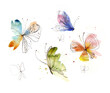 Hand-drawn butterflies. Watercolor and pen. Isolated on white background