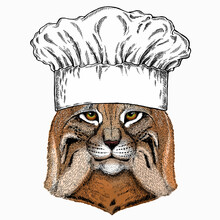 Lynx, Bobcat. Chef Cook Hat. Restaurant Logo. Wild Cat. Vector Portrait Of Cat Head.