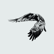 Flying Black Crow Vector Illustration