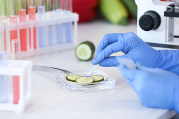 Wall Mural - scientist proceeding quality control in laboratory, closeup. fresh cucumber analysis