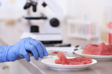 Wall Mural - scientist inspecting meat at table in laboratory, closeup. food quality control