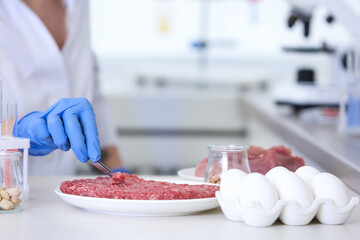 Wall Mural - scientist inspecting forcemeat at table in laboratory, closeup. food quality control