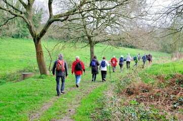 Group of retired hikers on a path in Brittany. France