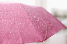 Large Drops Of Rain Flowing Down Pink Umbrella Closeup
