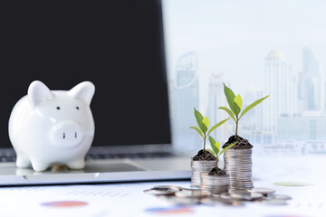 Wall Mural - Piggy and the tree  growing on money coin stack for investment and saving with financial report of investor real estate business, city and graph background.  Investment and saving Concept