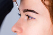© strigana - Young Caucasian Woman on the brow beauty procedures. Professional care for face. Brows coloring, wax and lamination.