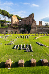 Wall Mural - View of archeological site in the roman forum