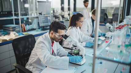 Wall Mural - medical science laboratory: row of diverse team of multi-ethnic young scientists looking under micro