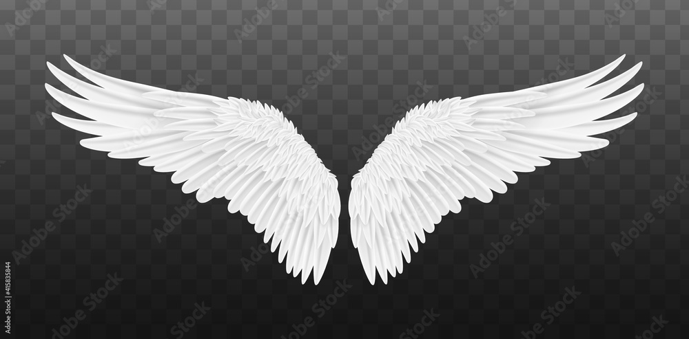 Pair of beautiful white angel wings isolated. Vector concept white cute ...