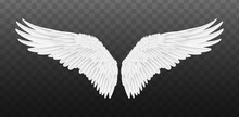 Pair of beautiful white angel wings isolated. Vector concept white cute feathered wing animal on a transparent background