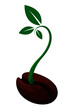 Simple sprouting seed vector iconic illustration.
