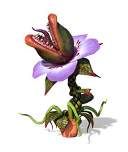 Hungry Carnivorous Plant