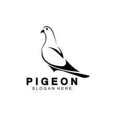 Sticker - Pigeon bird logo vector icon illustration design template