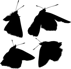 four small butterfly silhouettes isolated on white