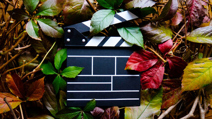 Empty wooden movie clapboard in frame of colorful autumn leaves. Nature concept. Top view. Ecological production, a film about environmental protection.