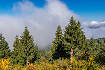 Wall Mural - clouds over the mountains