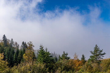 Wall Mural - clouds over the mountains