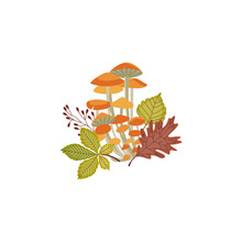 Autumn Leaves And Wild Honey Mushrooms Flat Vector Illustrations Isolated.