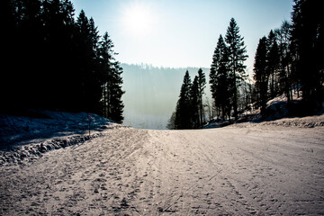 backlit ski slope