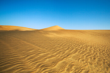 Wall Mural - Landscape background of silent desert dune in Dubai, sand pattern