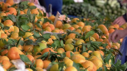 Wall Mural - Pile of ripe mandarins for sale at market. Organic fruits background. Food production industry.