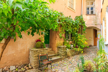 Wall Mural - Baltic States, Estonia, Tallinn. Tallinn Old Town, city windows with vine covered entrance to building.