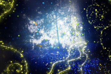 Wall Mural - Abstract and magical image of Firefly flying in the night forest. Fairy tale concept