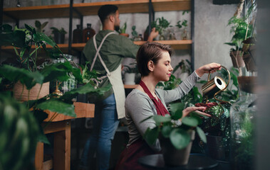 Shop assistants working in indoor potted plant store, small business concept.