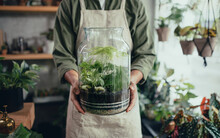 Shop assistant holding terrarium in indoor potted plant store, small business concept.