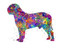 Dogue De Bordeaux Dog Watercolor, Abstract Painting. Watercolor Illustration Rainbow, Colorful, Decoration Wall Art.	