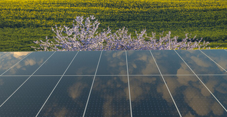 Wall Mural - solar panels on the background of the spring field