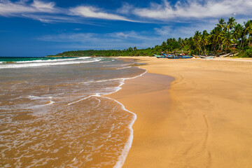 Wall Mural - Traditional fishing boats on a sandy beach. Sri Lanka